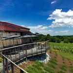 Grandview Vineyard