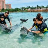 Dolphin Cay Atlantis