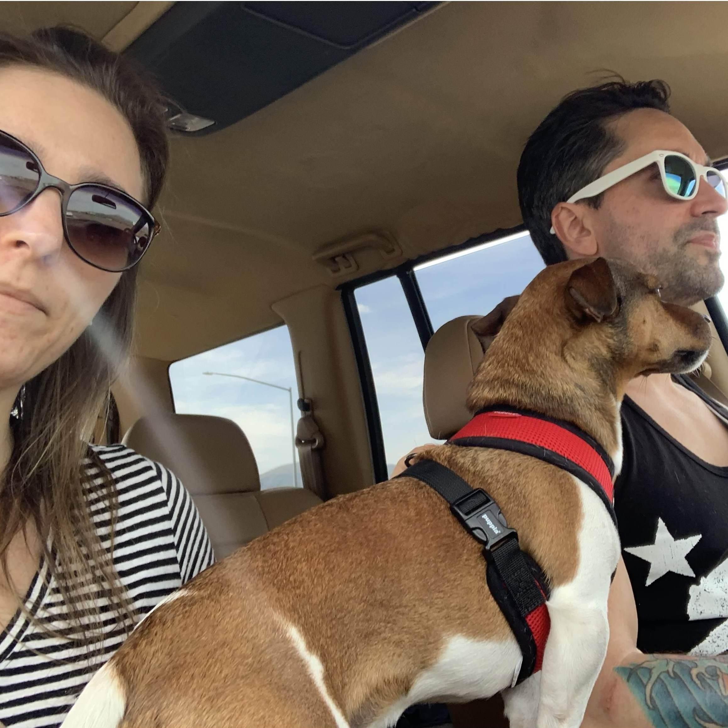 On our way to Joshua Tree.