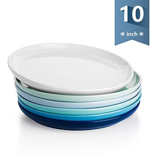 Sweese 154.003 Porcelain Round Dinner Plates - 10 Inch - Set of 6, Cool Assorted Colors
