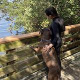 Robinson Preserve