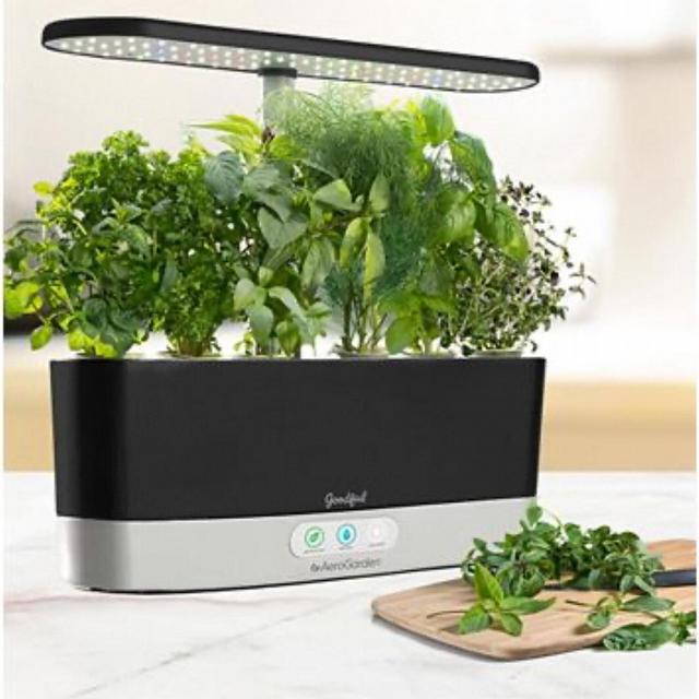 Slim Countertop Garden