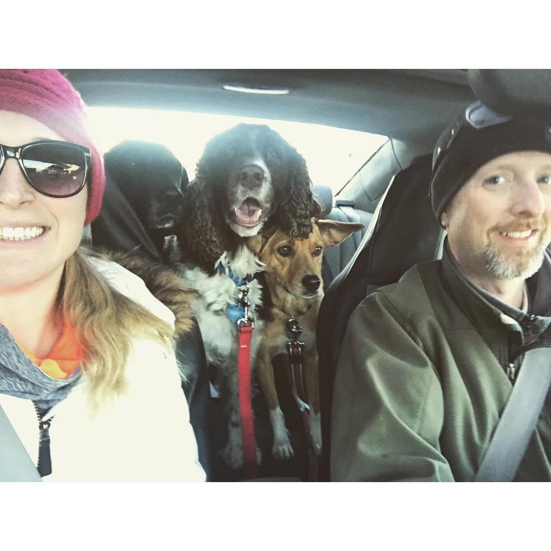 Dog park bound!