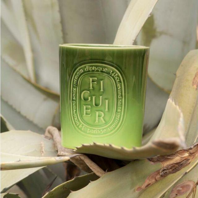 Figuier / Fig Tree candle 1,5kg