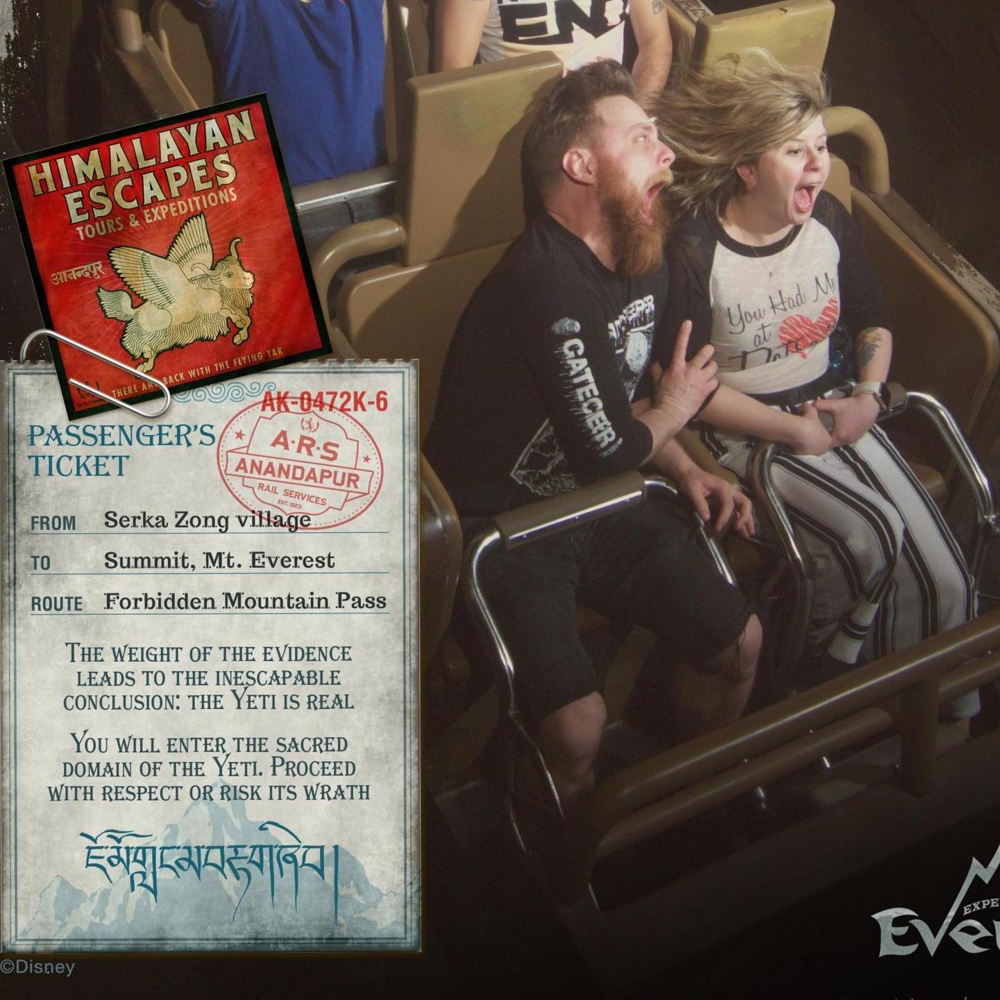 Everest coaster in Disney World!