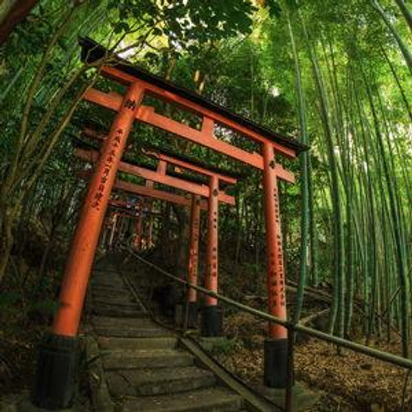 Kyoto Day Adventure