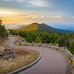 Mount Mitchell State Park
