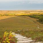 Konza Prairie