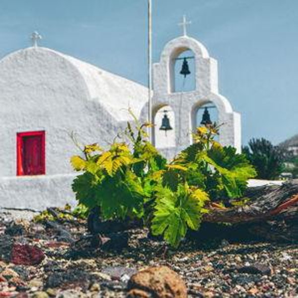 Honeymoon Santorini Wine Tasting Experience
