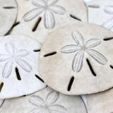 Sand Dollar Island