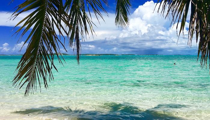 The Wedding Website of Nicole Rios and Misael Martinez