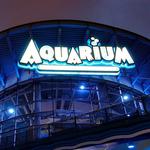 Denver Aquarium