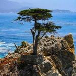 17 Mile Drive