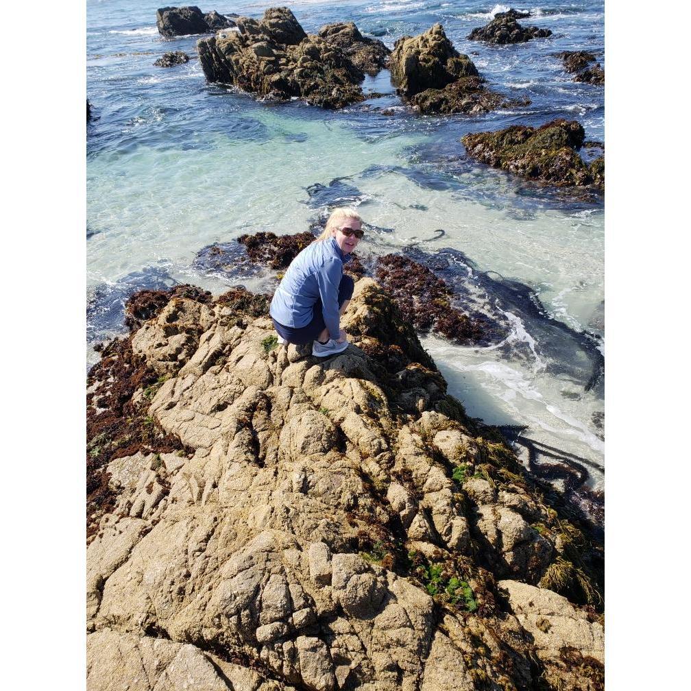 Exploring the tide pools in Monterey California