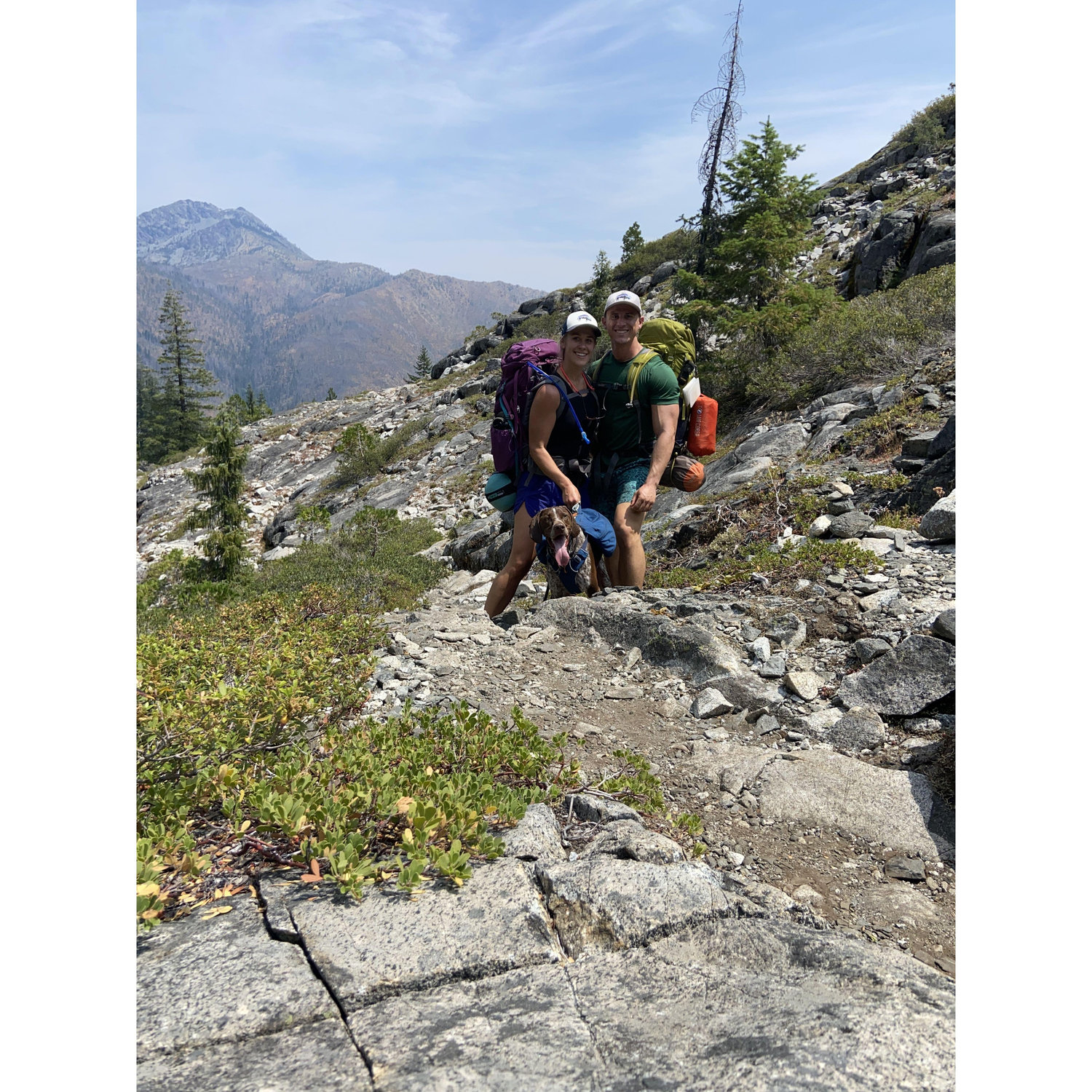 Backpacking with Bo dog