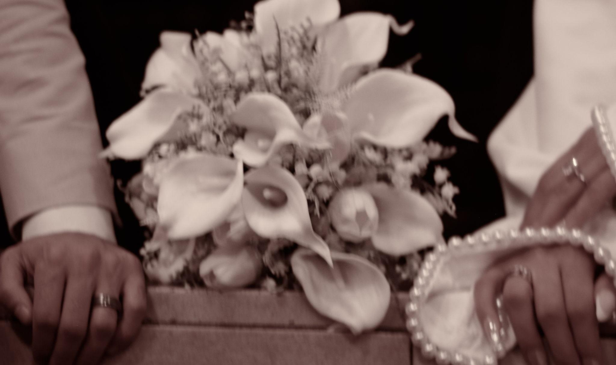 The Wedding Website of Ibrahim Antar and Elshaymaa Hussein