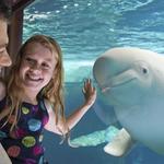 SeaWorld San Diego