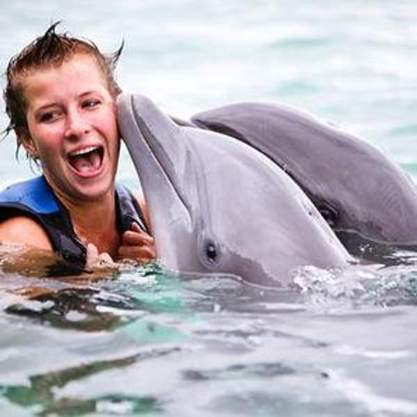Dolphin Swim-Ocho Rios