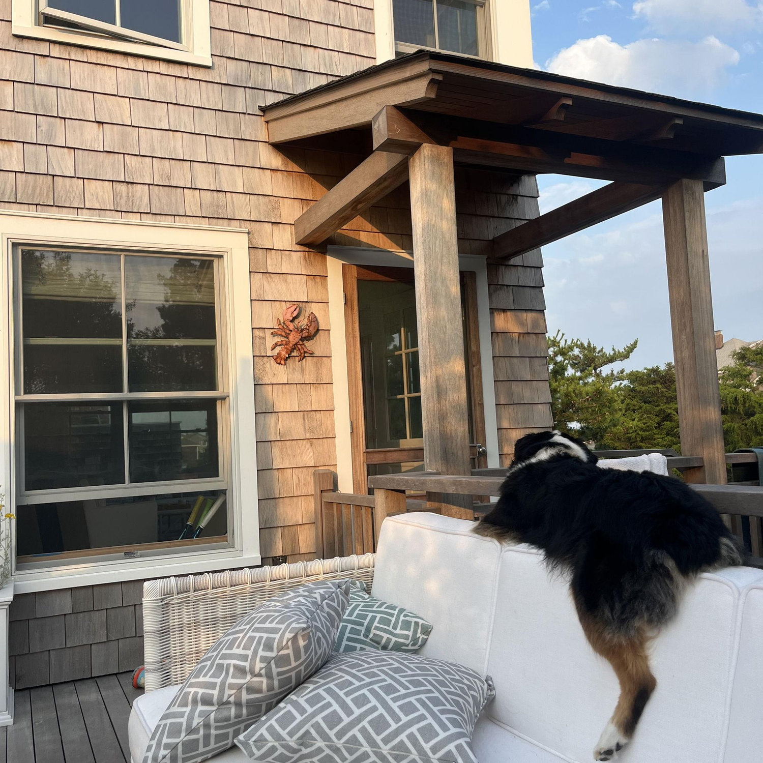 Rhett's favorite spot to nap in POW!