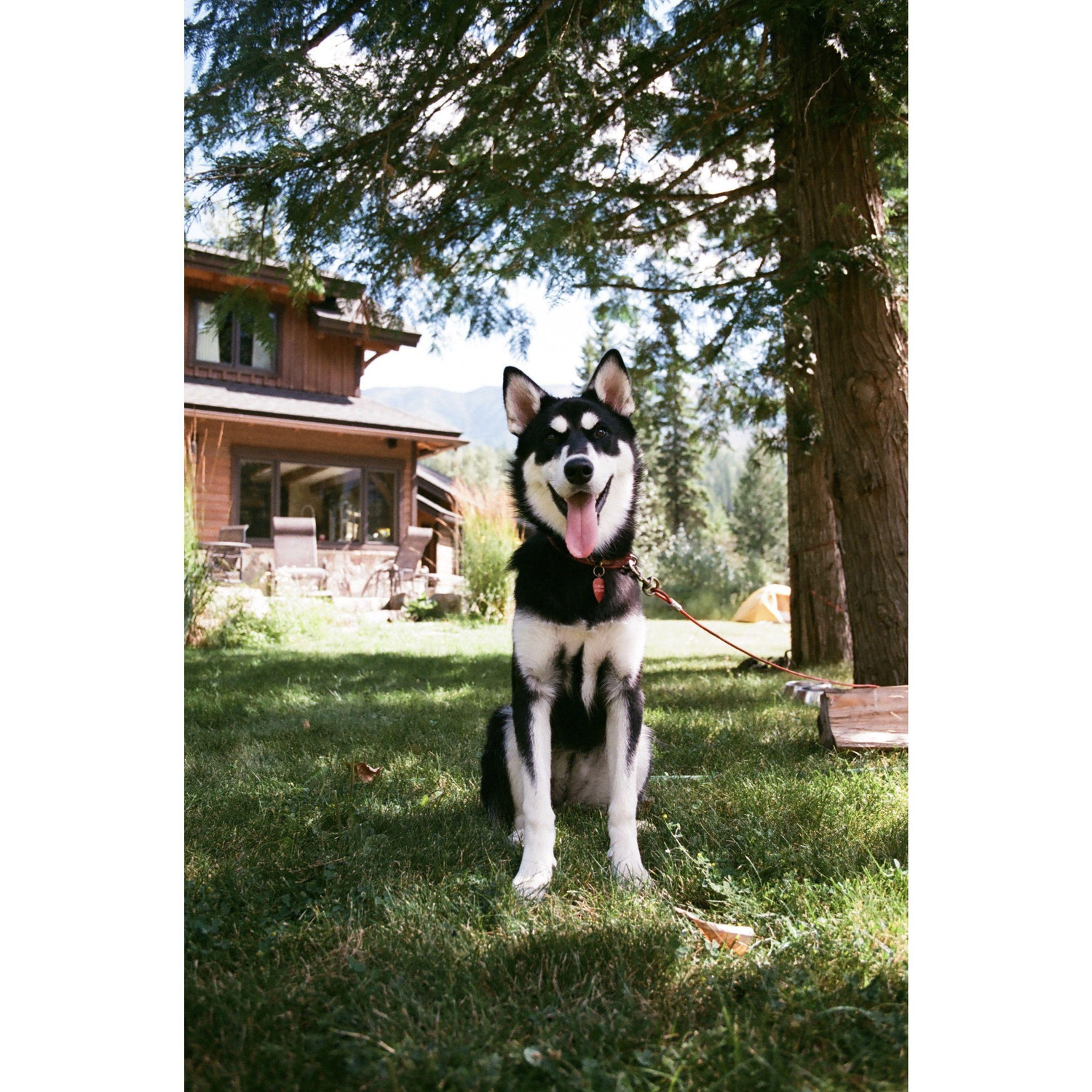 our baby girl, Arna