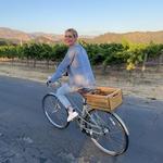 Napa Valley Bike Tours/Rentals