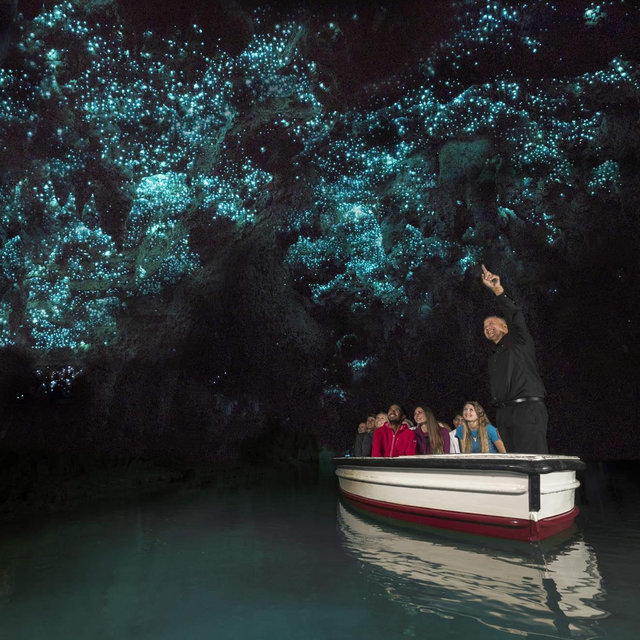 Glow Worm Cave Tour