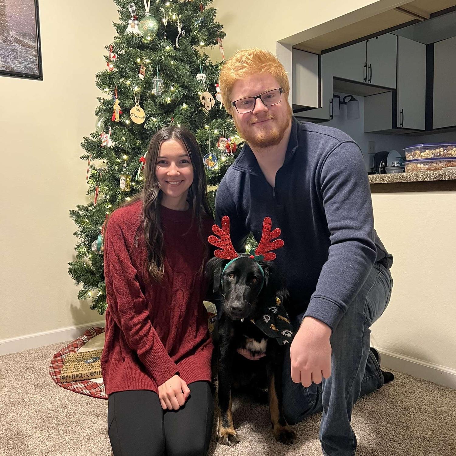 Our first Christmas with Harley