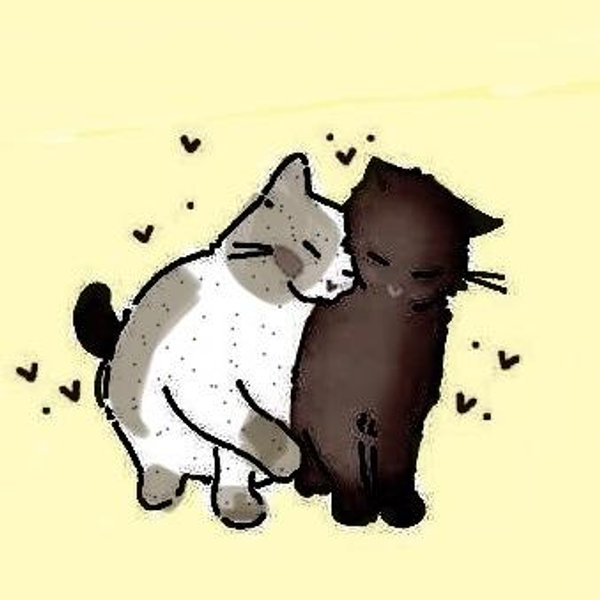 Spoil Our Pets!