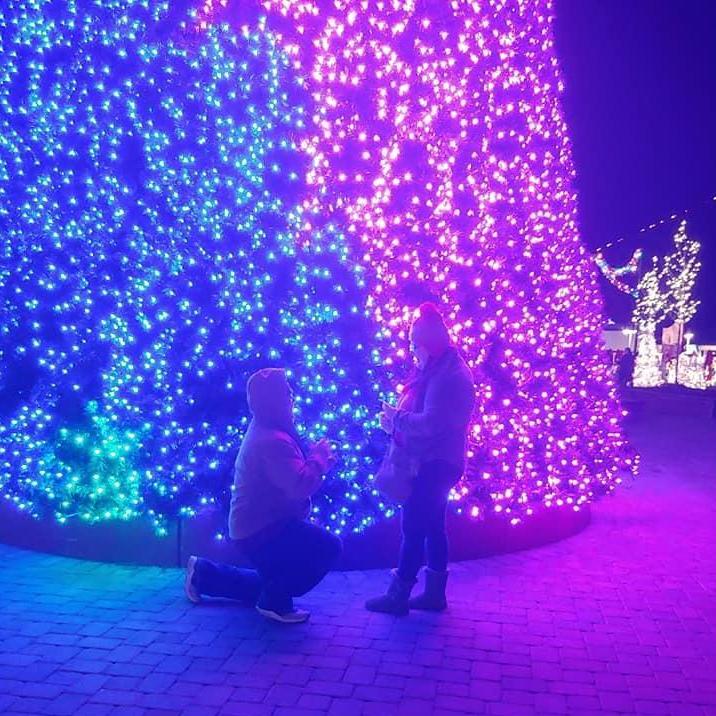 the proposal!