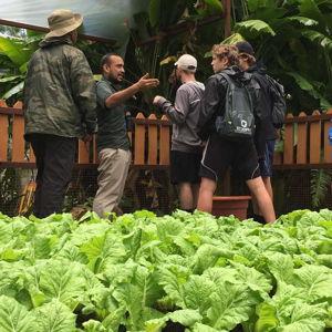 Honeymoon Activity - Local Flavor Tour
