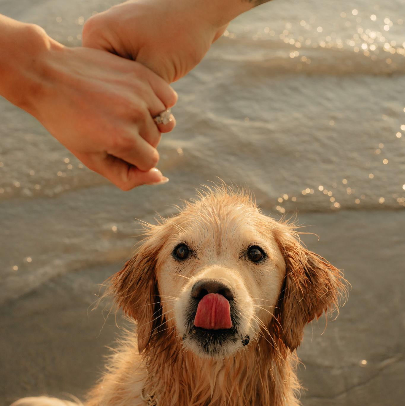 Hero Slideshow Image 5