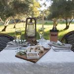 Bunnyconnellen Olive Grove & Vineyard