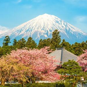 Honeymoon Fund to Japan! 🗻
