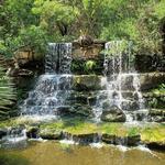 Zilker Botanical Garden