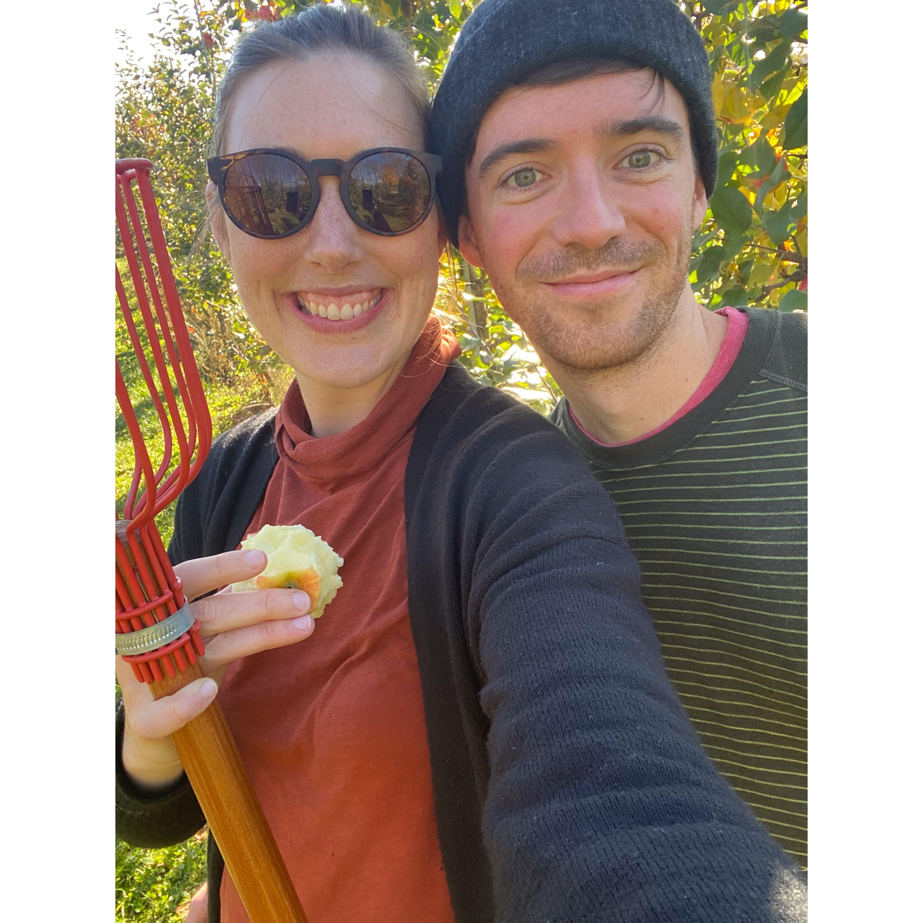 Apple picking in 2022