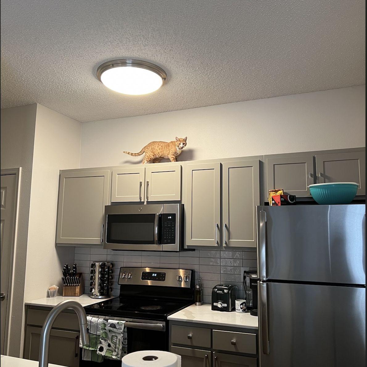 Usually from very high places.