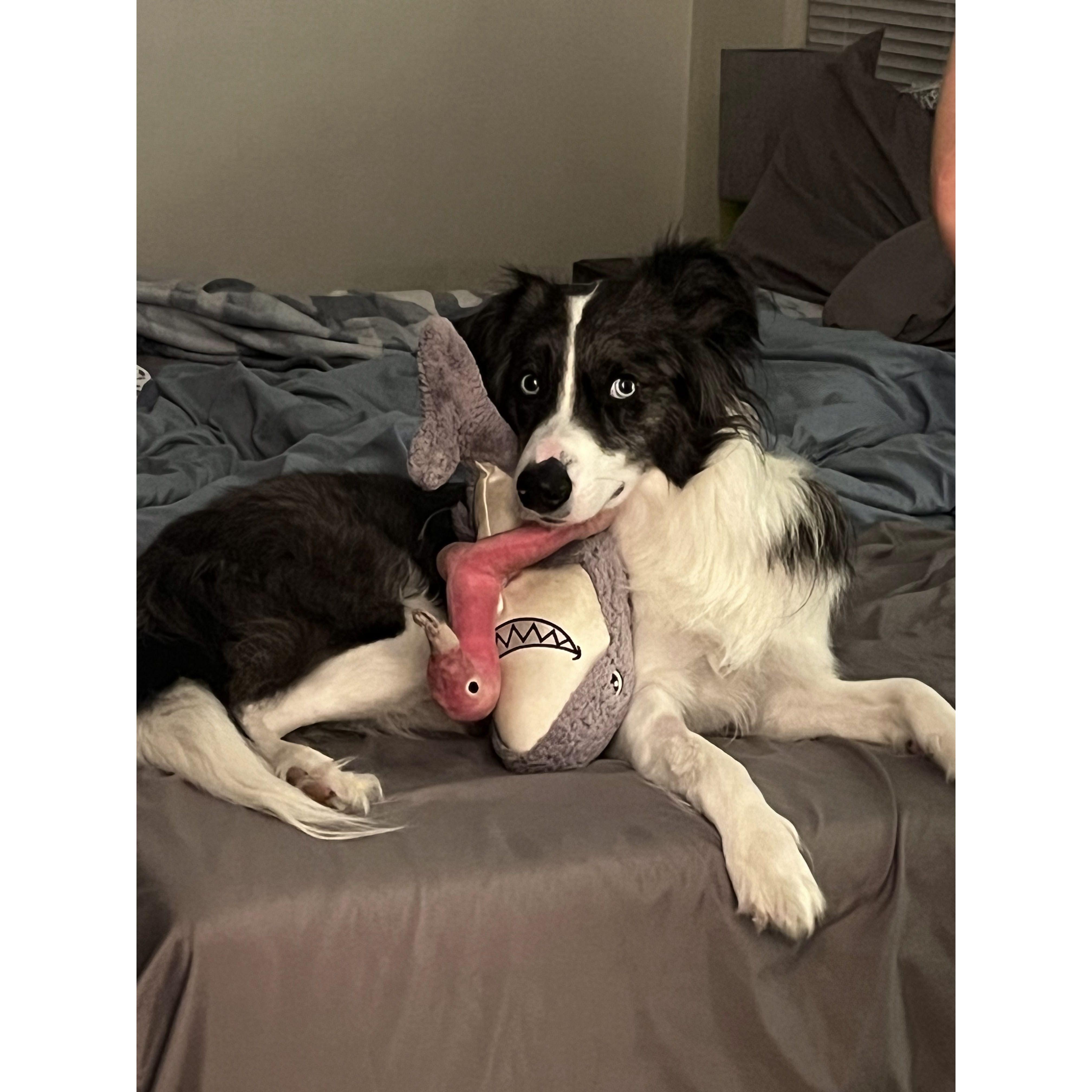 Our baby!