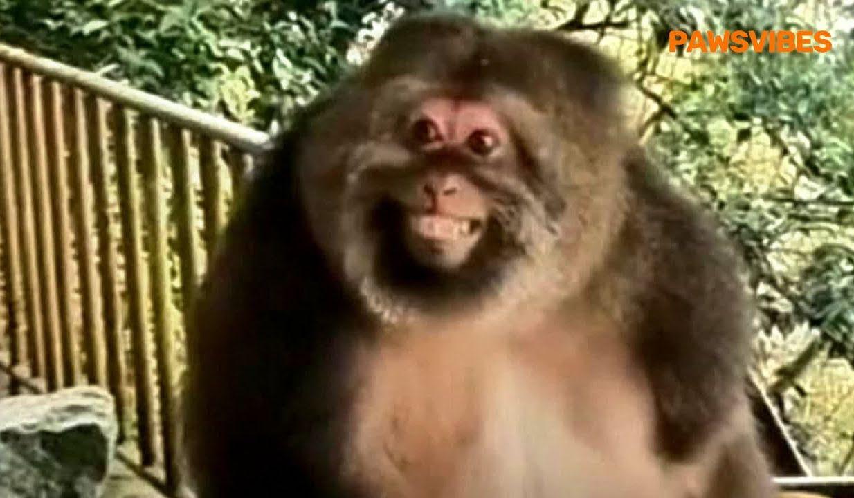 Hero Slideshow Image 2