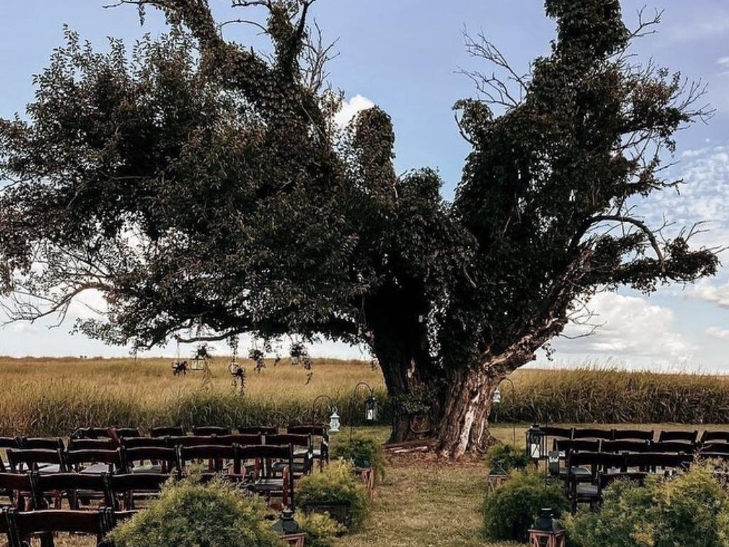 The Wedding Website of Nichole Litzau and Josh Urban