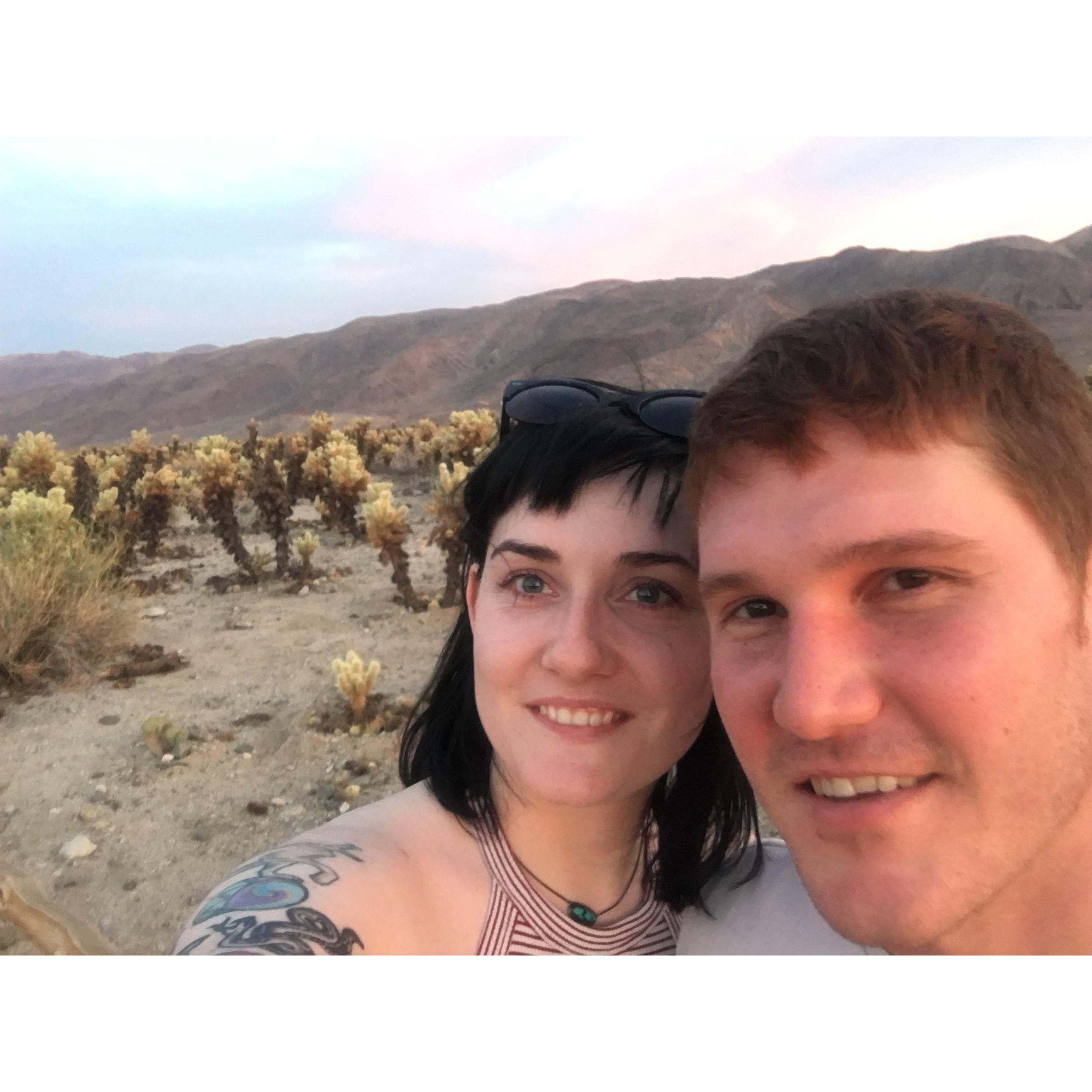 Joshua Tree, CA - 2016