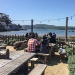 Hog Island Oyster Co