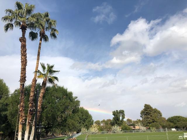 The Wedding Website of Jonathan Koenig and Dani Haber