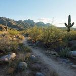 Mount Lemmon