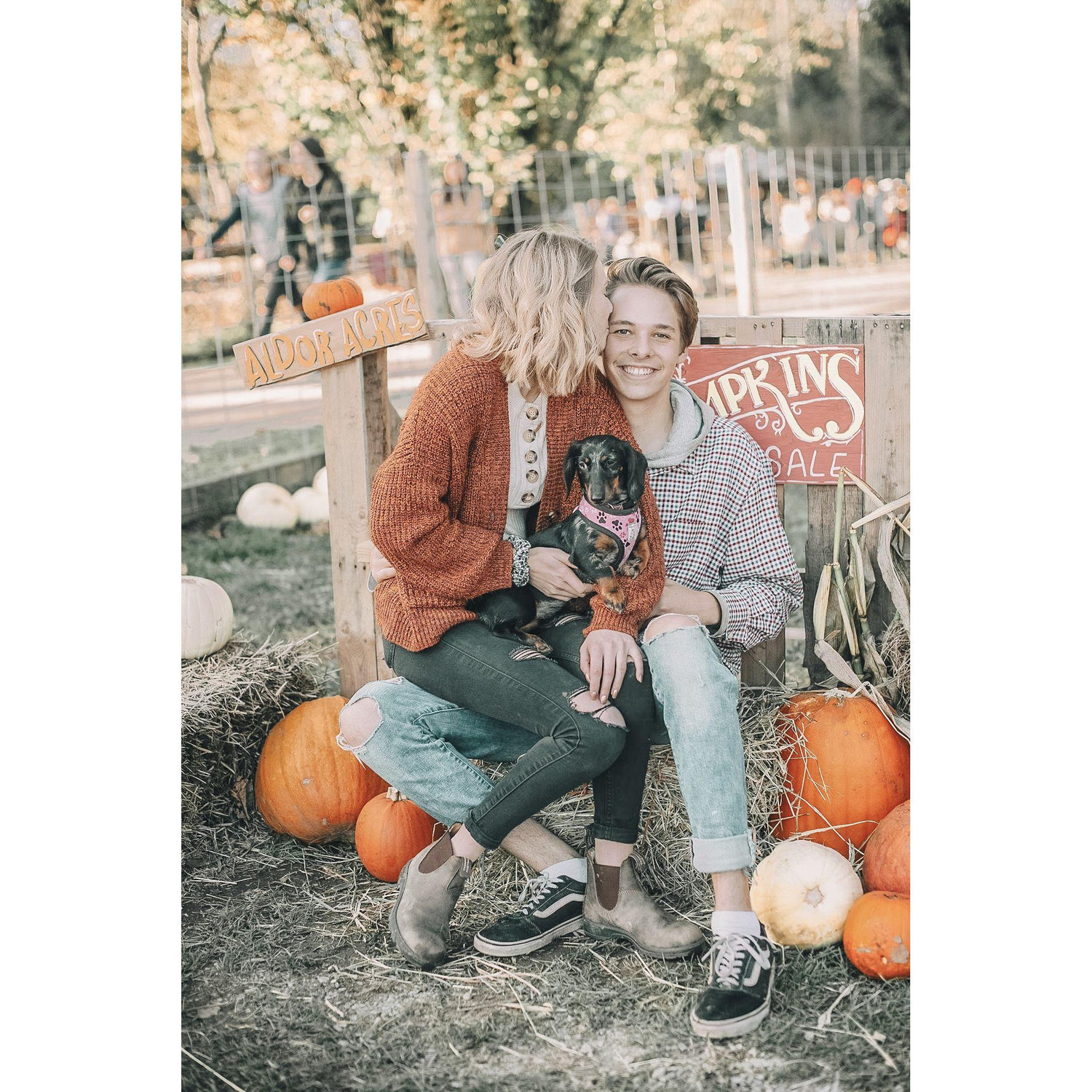 2019 - Photoshoot at Alder Acres in Fort Langley