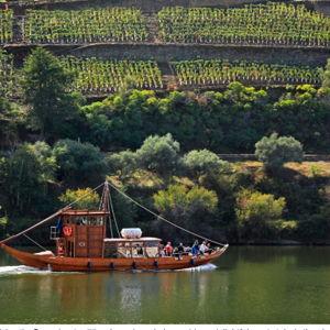 Douro Valley Wine Tour