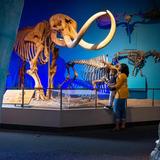 Milwaukee Public Museum