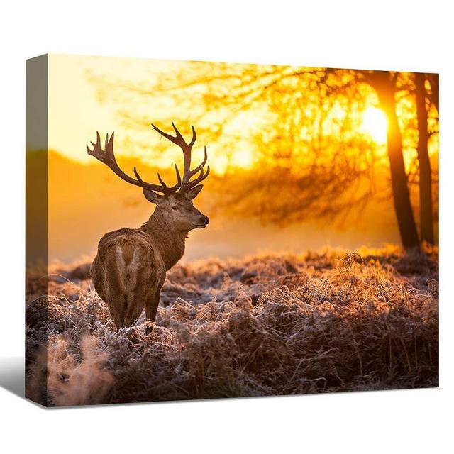 SENEW Animal Canvas Wall Art for Bedroom, Living Room, Office, Deer Framed Canvas Art for Home Decor,36" x 24"