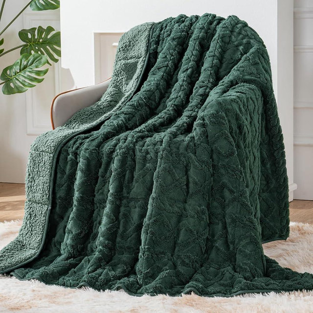 Sherpa Fleece Adult Weighted Blanket Great for Sleep, 15 lbs Dual Sided Soft Fuzzy Heavy Blankets for Couch Bed Sofa, Cozy Warm Fluffy Jacquard Throw for Winter (Green, 60" x 80", 15 Pounds)