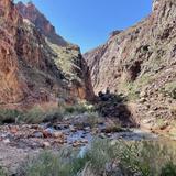 Taylor Creek Fly Shop