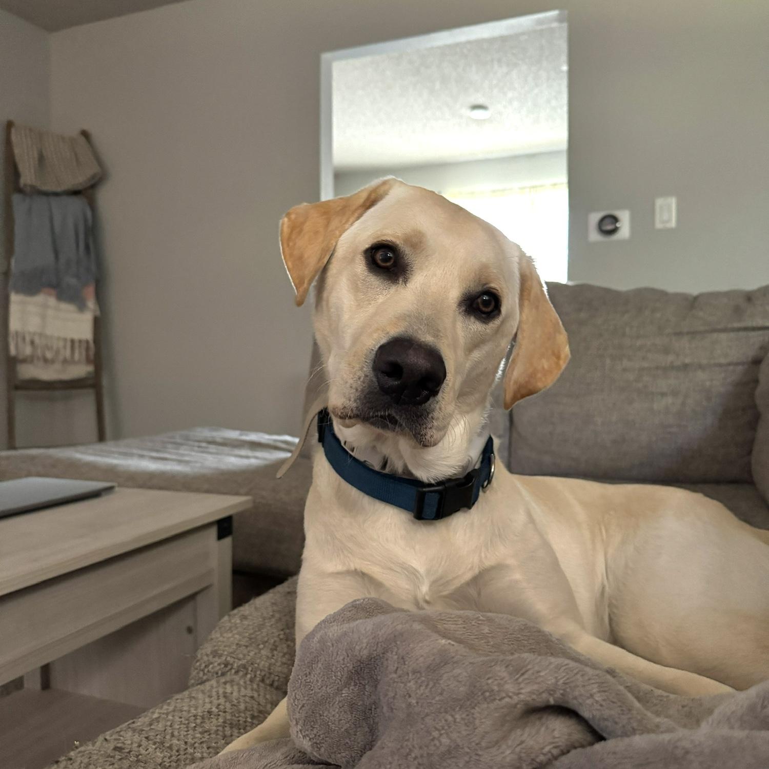 Our boy, Wally!